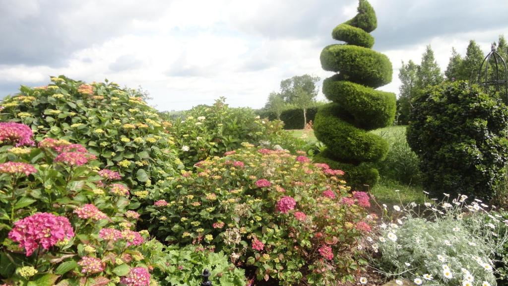 Westwood Country House Blarney Zewnętrze zdjęcie